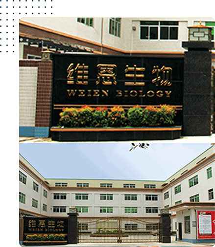 公司简介